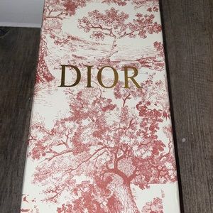 Walk n Dior sandals